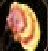 yonah.png